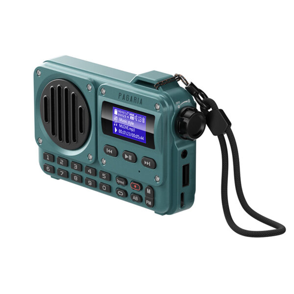 Pagaria GRENADE 5 Watts Pocket FM Radio with Bluetooth, Tf Card / USB ...