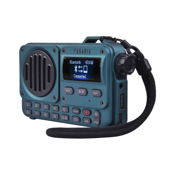 Pagaria GRENADE 5 Watts Pocket FM Radio with Bluetooth, Tf Card / USB ...