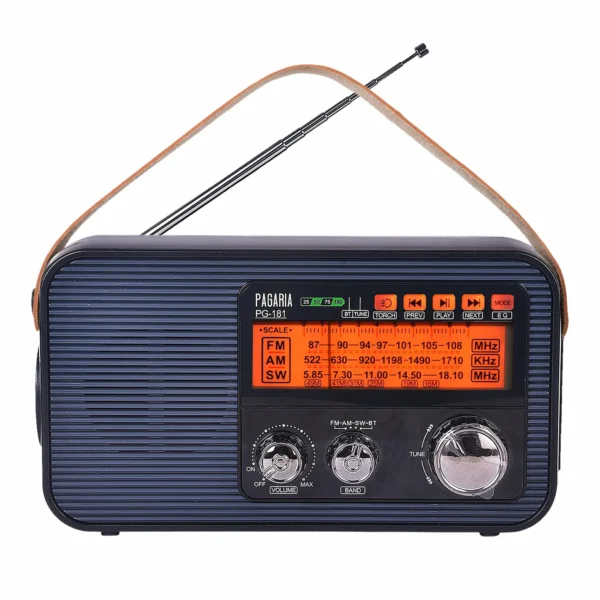 PAGARIA 3 Band FM/AM/SW DSP Portable Radio with 5 Watts, Torch, Bluetooth, USB/TF, Earphone, Aux, Model: PG-181